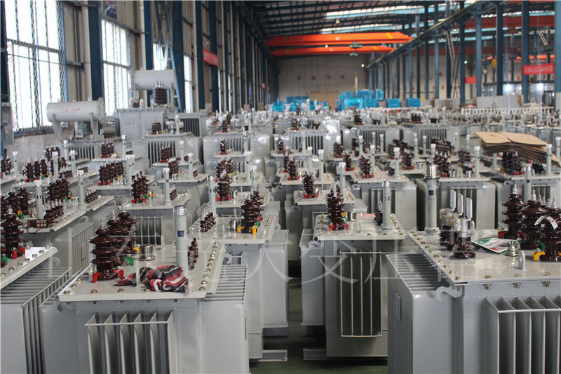 三都S22-800KVA/10KV